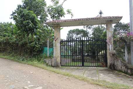 WhatsApp Image 2025-07-10 at 10.30.25 (1)