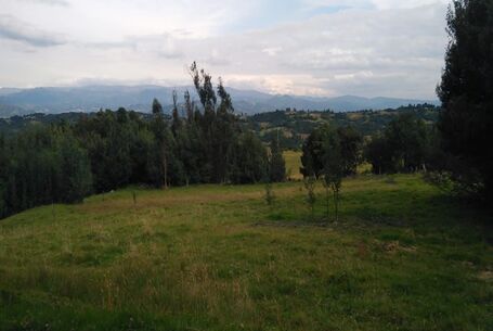 WhatsApp Image 2025-07-11 at 00.14.28 (1)